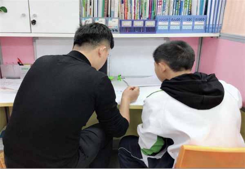 小学教育：归属教育学类，但不止是“教育学类”那么简单